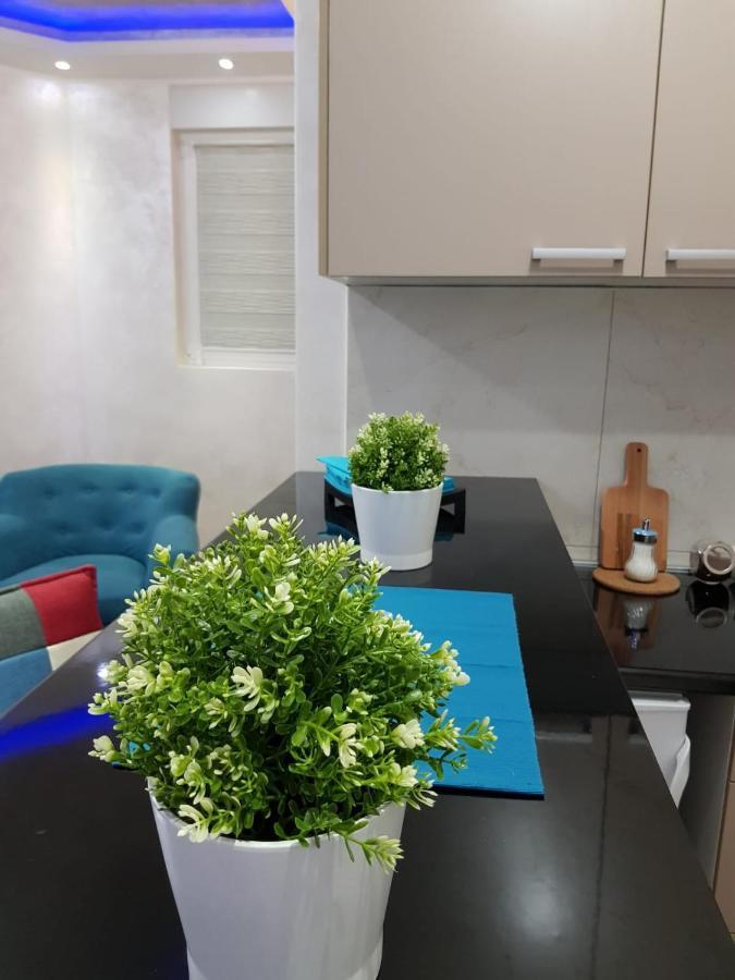 Apartmani Venera Βελιγράδι Εξωτερικό φωτογραφία